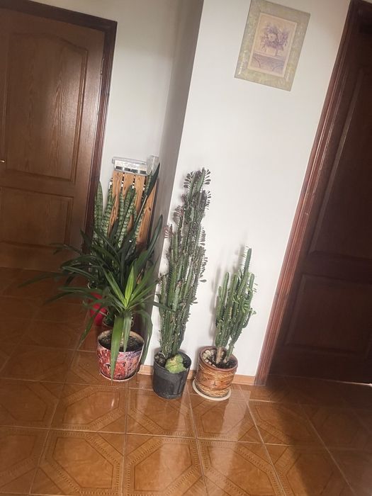 Продам квартиру в центре горада