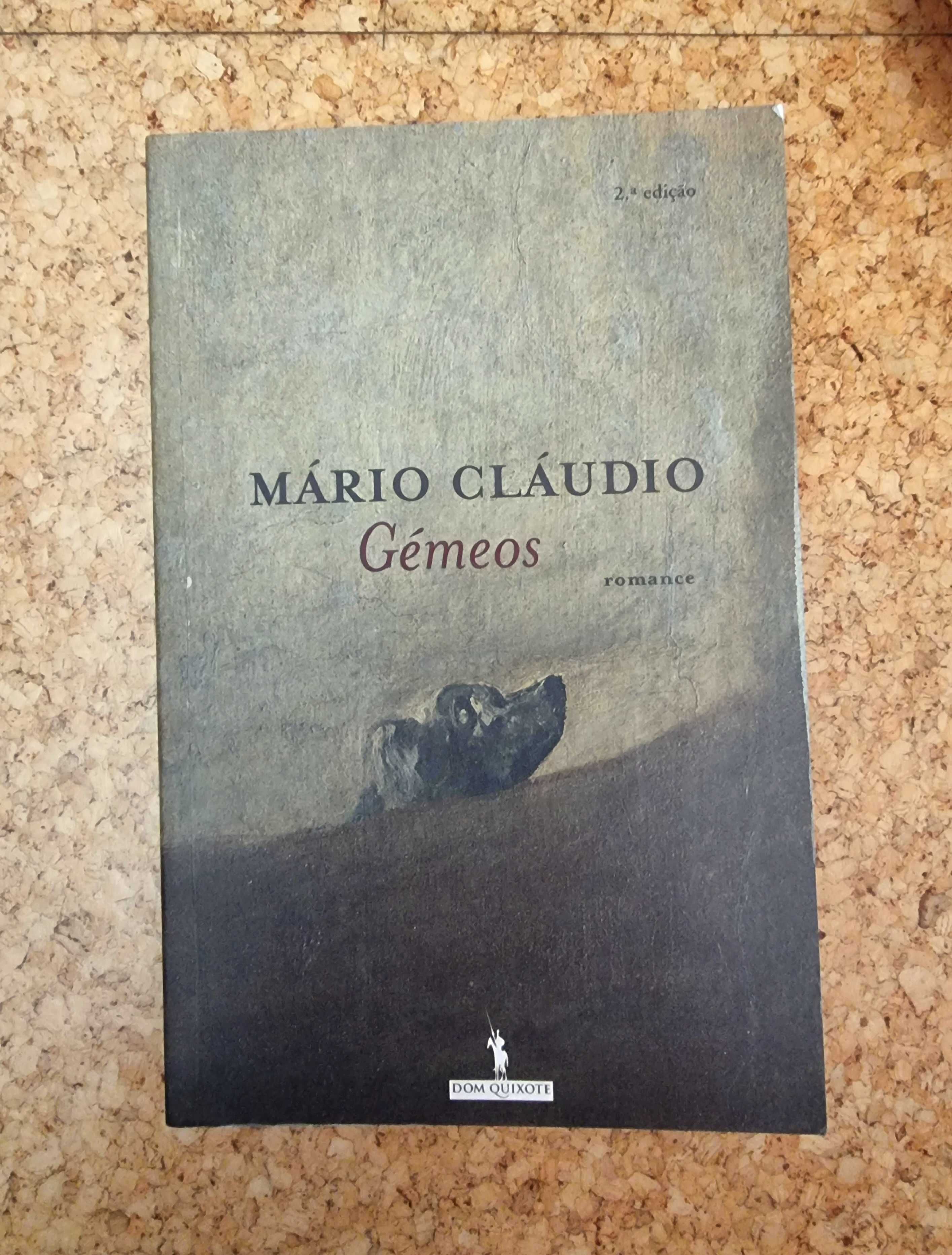 Livro "Gémeos" de Mário Cláudio