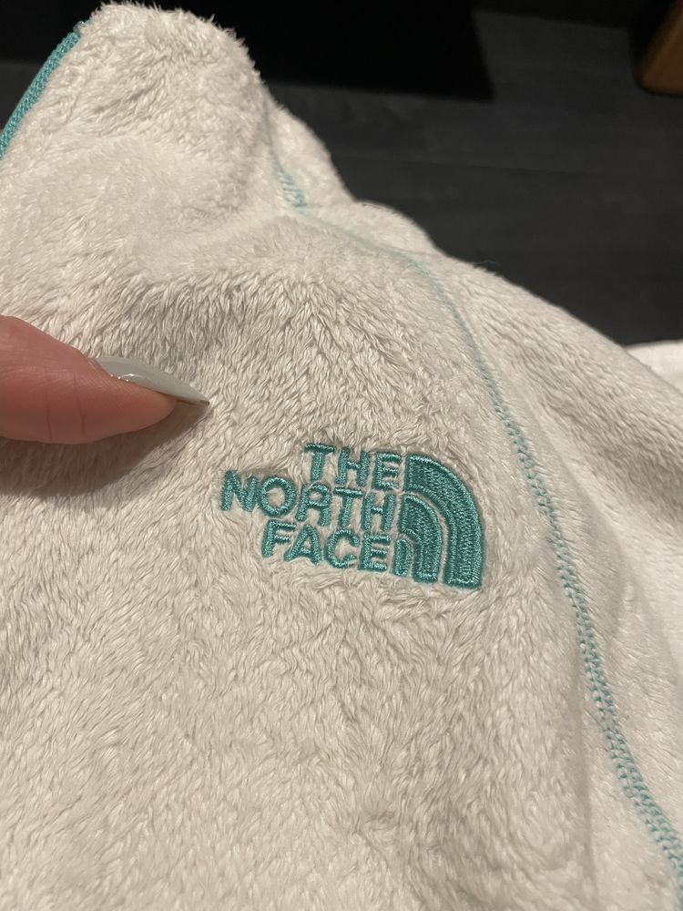 Polar The north face