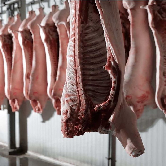 Свіжі свинні півтуші — фермерське м’ясо напряму від виробника!