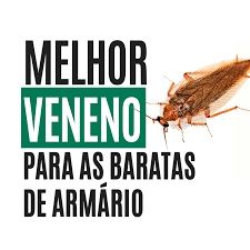 Desinfecção contra baratas
