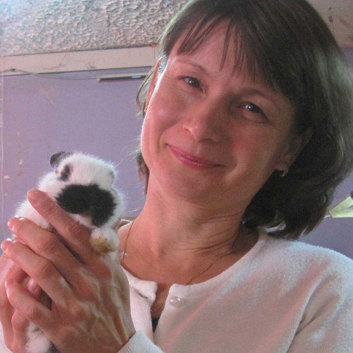 Репетитор (молодша школа) + англійська. Онлайн та офлайн.