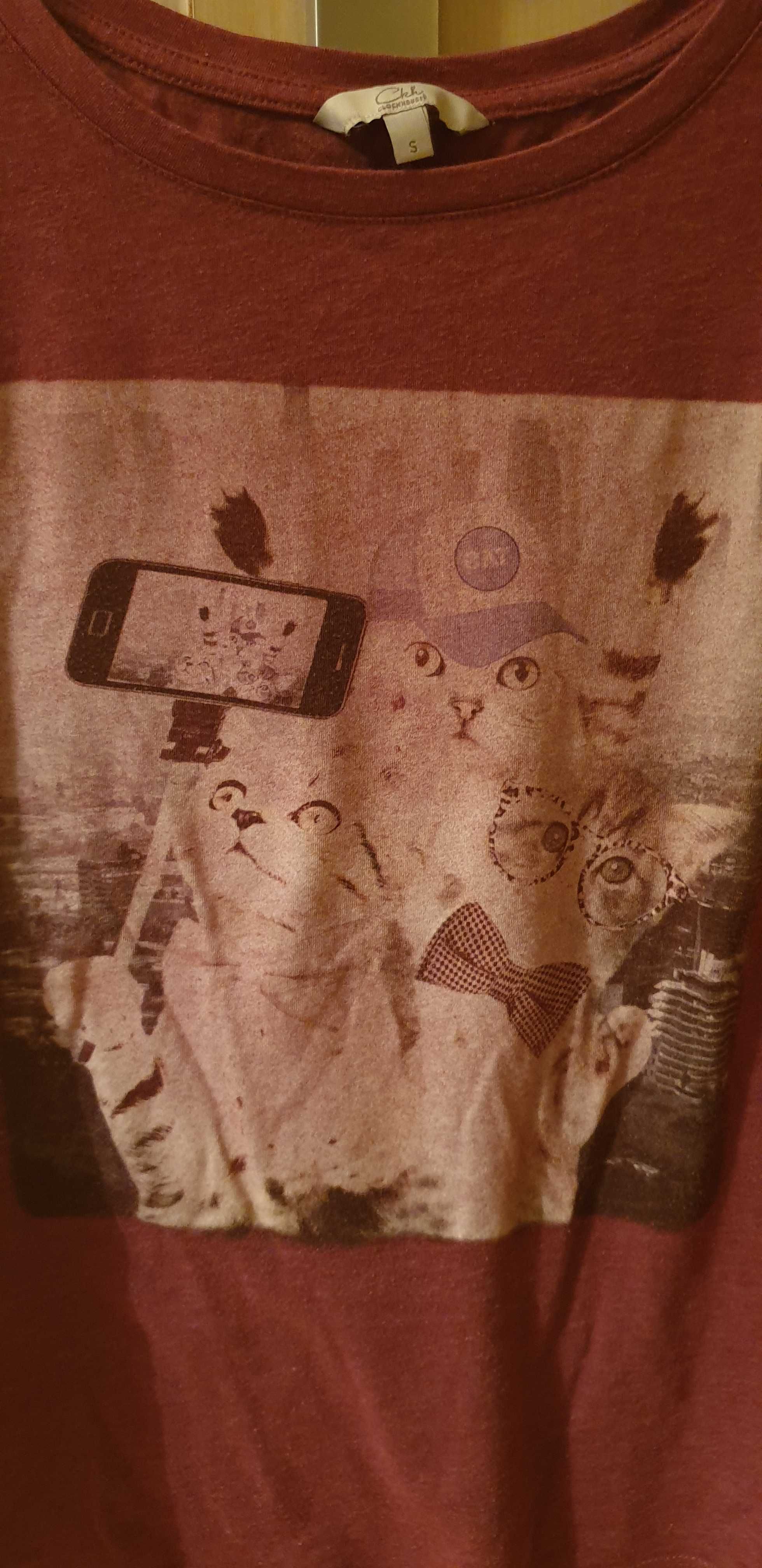 Bluzka C&A s koty kotki