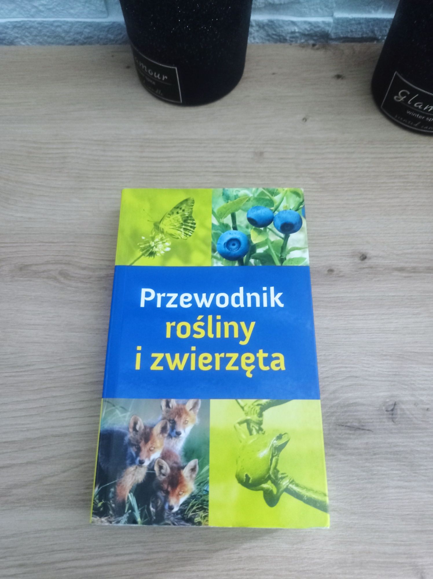 Przewodnik zwierzęta i rosliny