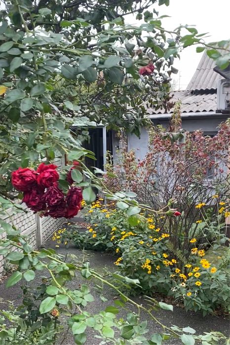 Сдам квартиру на земле! 2к! Пер Сечевой!ТК Славянка Курчатовский озерк