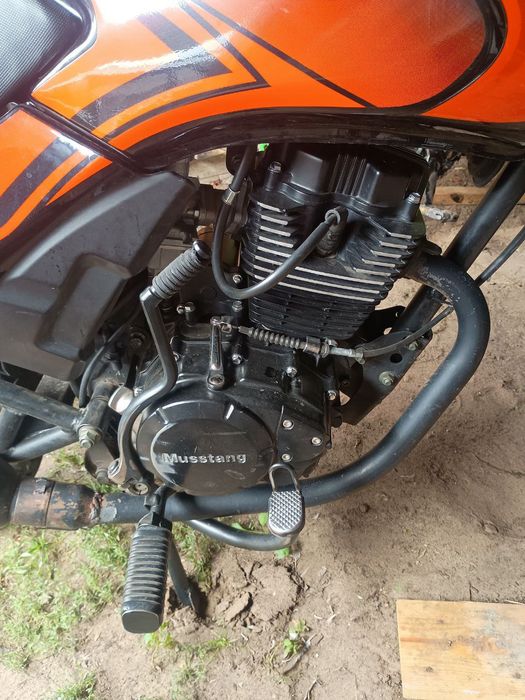 Продам мустанг фості 150 СРОЧНО!!