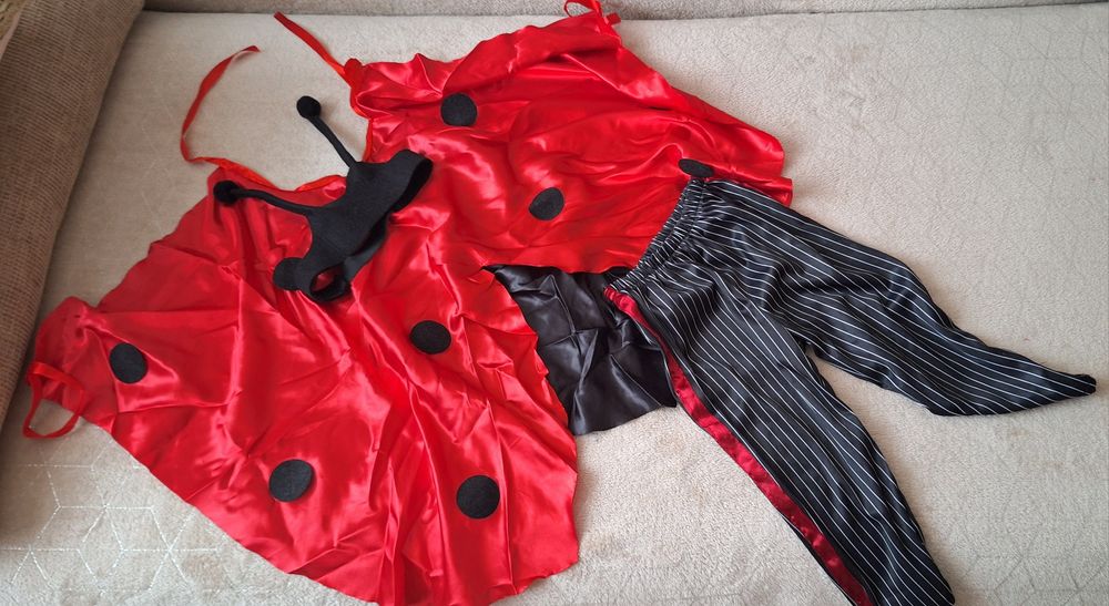 Костюм на свято бедрик