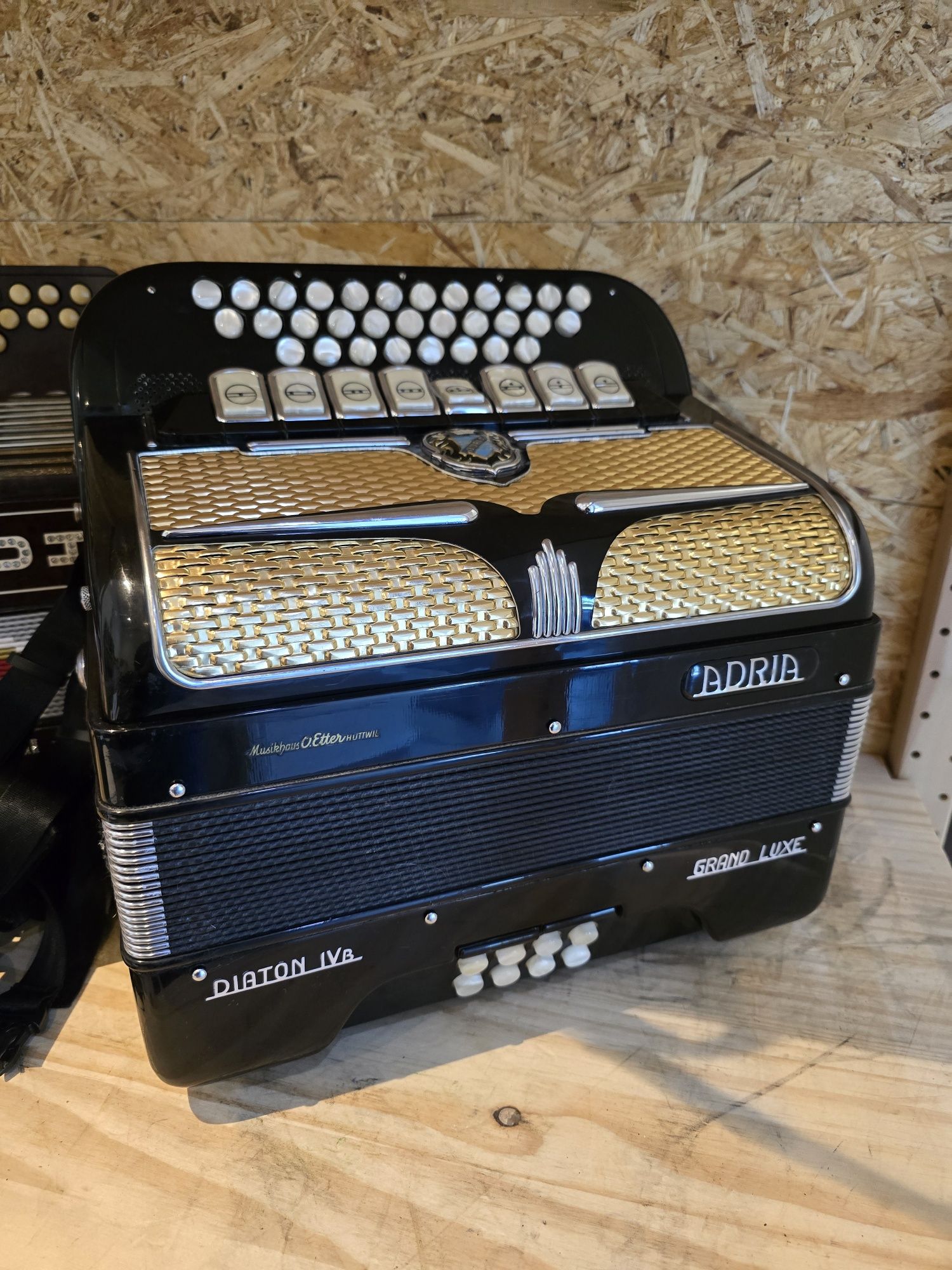 Concertina Adria Diaton IVa