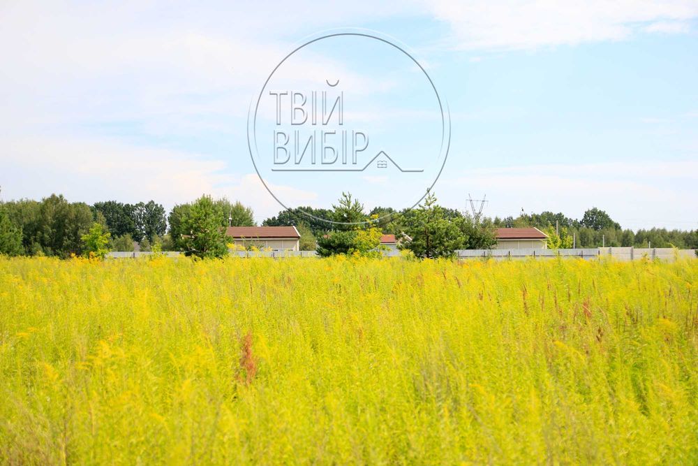 Продаж Ділянки Петрушки 10 соток