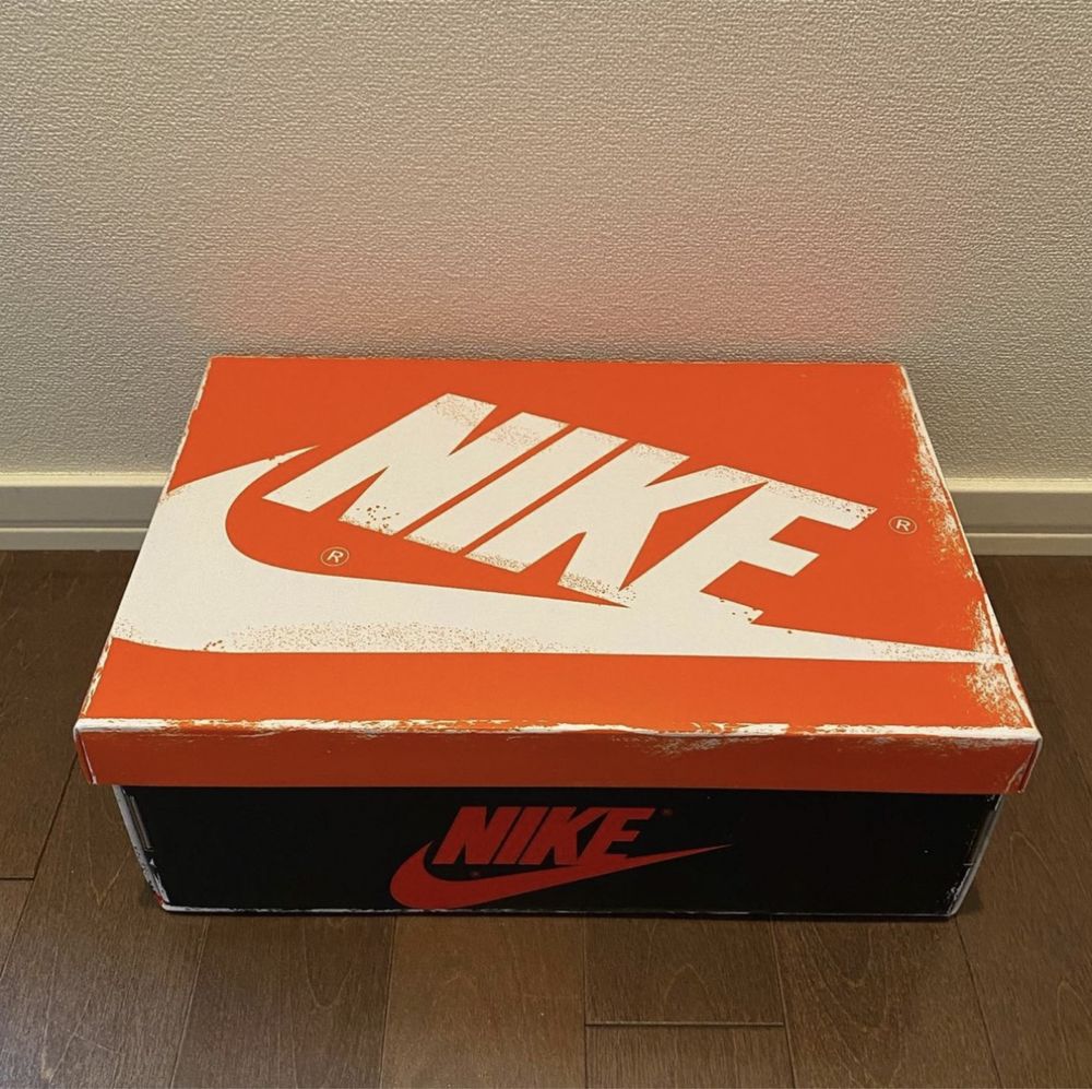 Nike Air Jordan 1 Lost & Found (43) DS