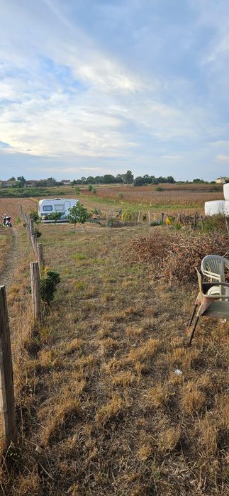 Terreno rústico em salreu, Estarreja