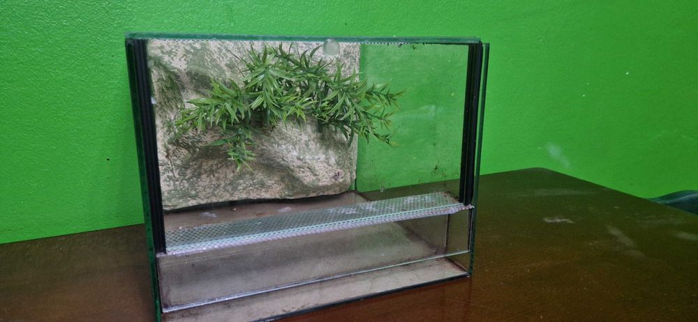 Terrarium 20x25x25 ze ścianką