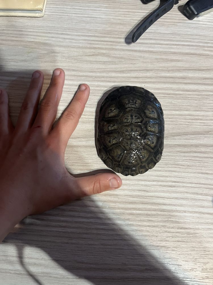 Akwarium + żłòw zestaw