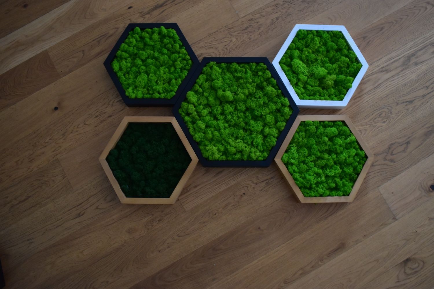 Zestaw obraz HEXAGON mech Chrobotek 3 szt M, L, XL, jesion, drewno