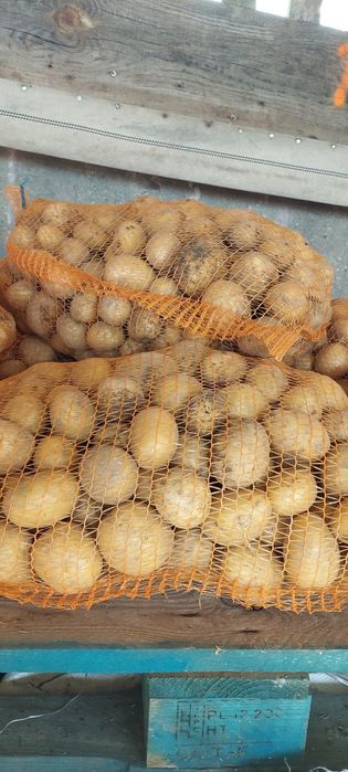 Sprzedam ziemnaki