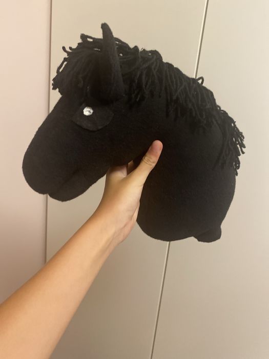 Konik hobby horse