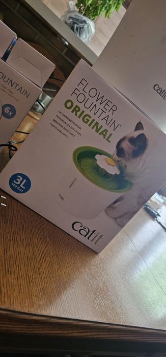 Fontanna poidełko dla kota