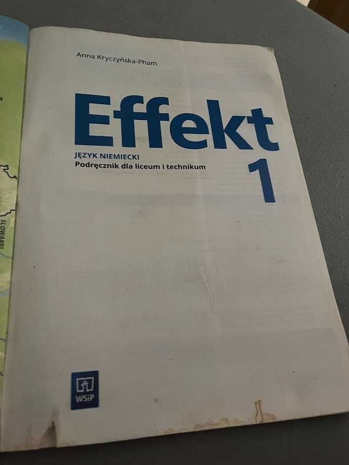 Effekt 1 Anna Kryczyńska-Pham