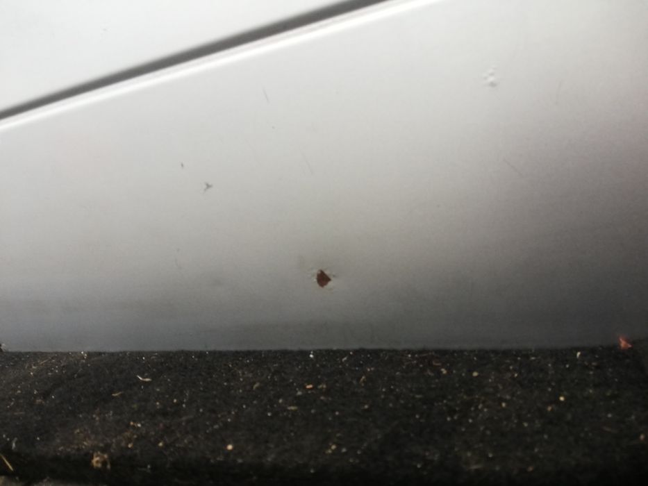 Klapa pokrywa bagażnika Ford Focus mk2 II kombi 04-11r kolor 03 O3