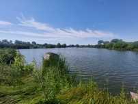 Оренда земельної ділянки водного фонду, площею 15,0336 га.