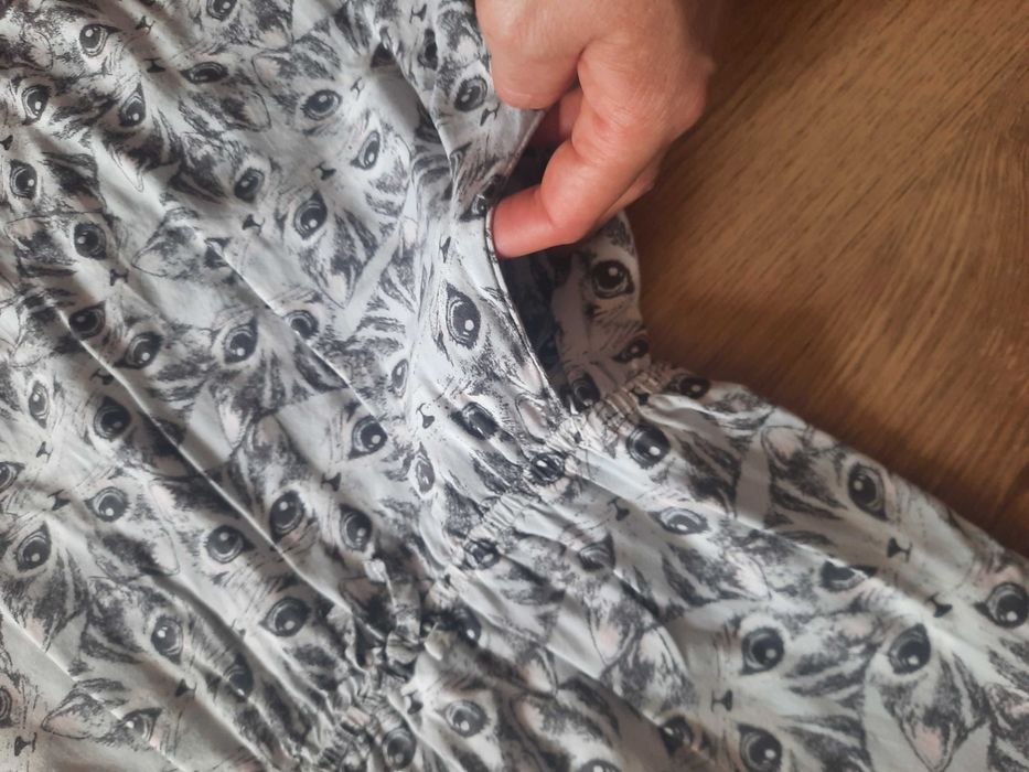 Śliczna sukienka w koty H&M 128 cm