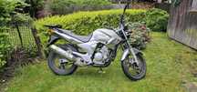 Yamaha YBR 250 Szczecin