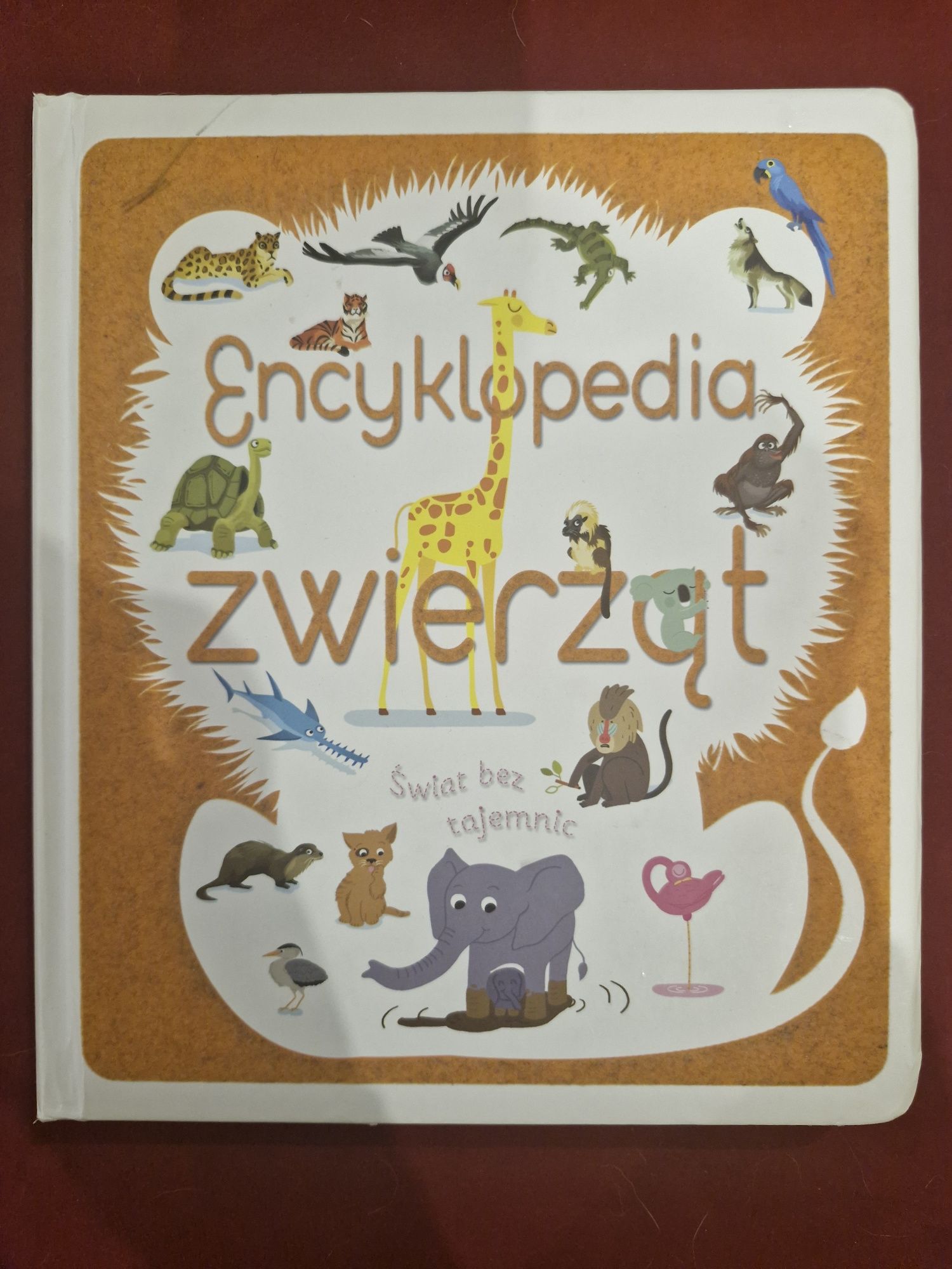 Encyklopedia zwierząt świat bez tajemnic