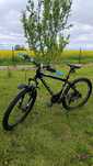Rower Kross Hexagon 26".