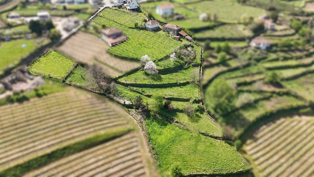 Venda de Quinta em Melgaço - c/ plantação de Alvarinho