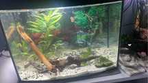 Akwarium paniramoczne 30l