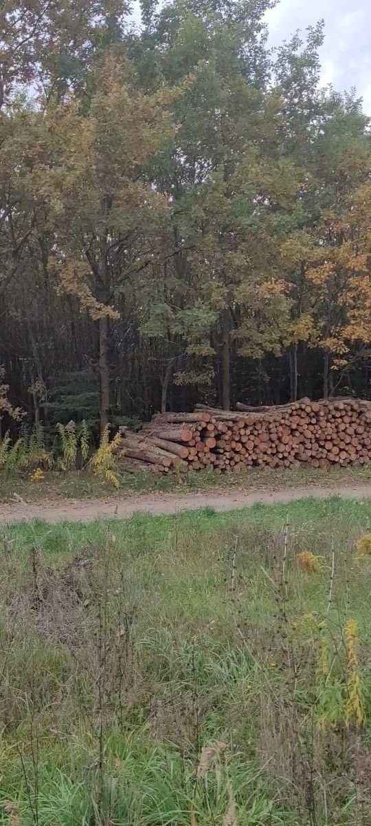 Działka budowlana w Janczewie