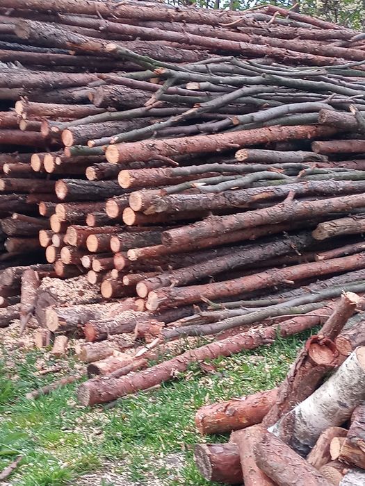 Drewno rozpałkowe opałowe