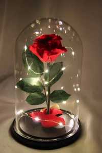 Роза в колбе с LED подсветкой