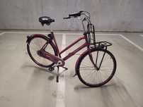 Rower holenderski / holenderka Sparta Pickup