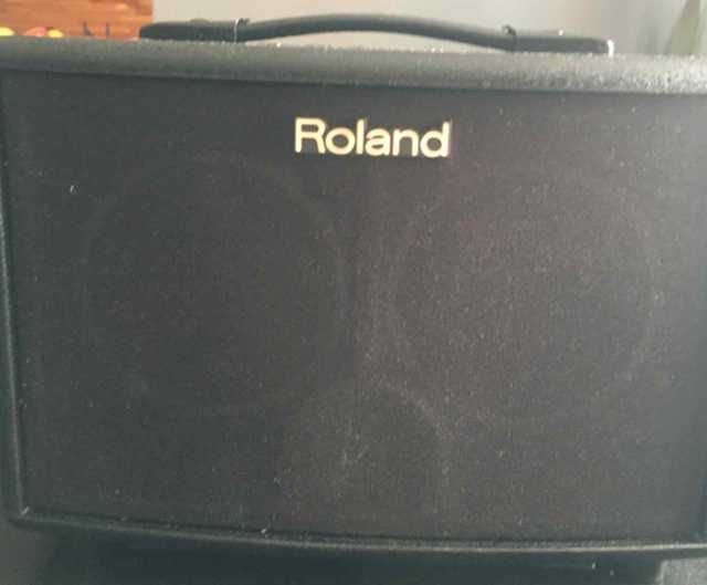 Roland AC-33 Acoustic Chorus 30-Watt Wzmacniacz Gitarowy