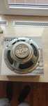 Celestion ten 30 głośnik 10" gitarowy