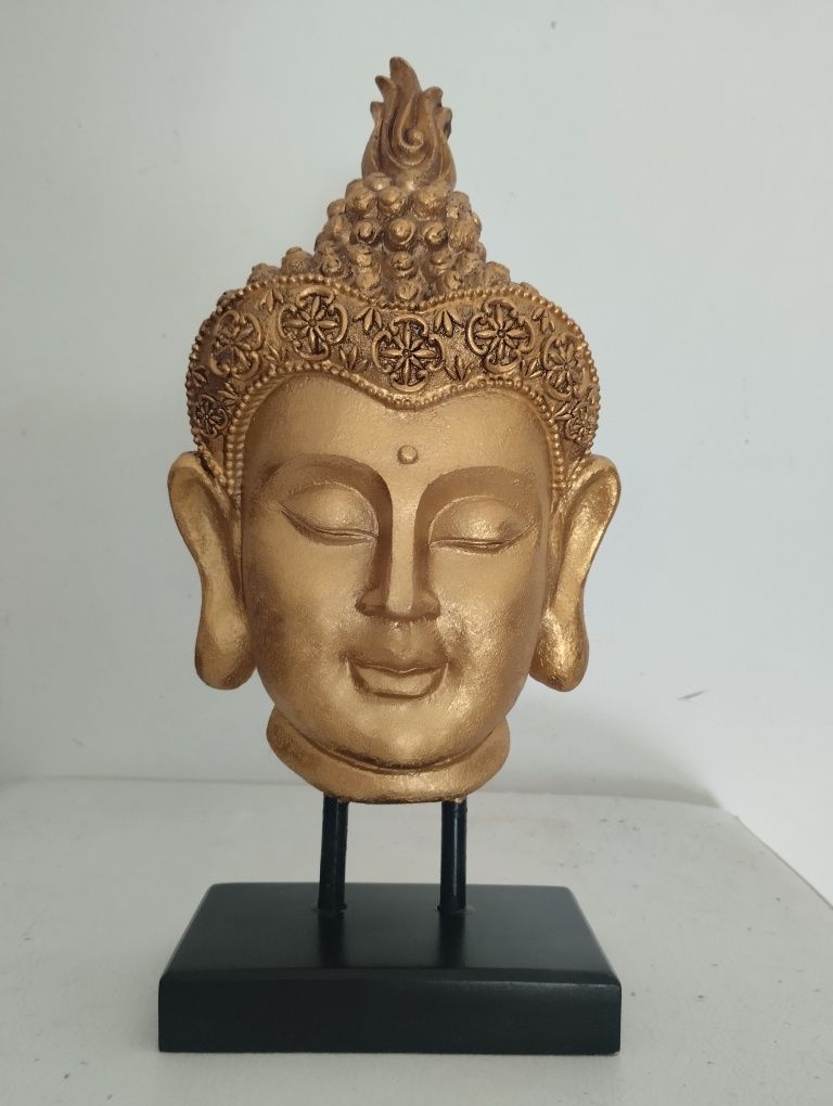 Cara de buda novo