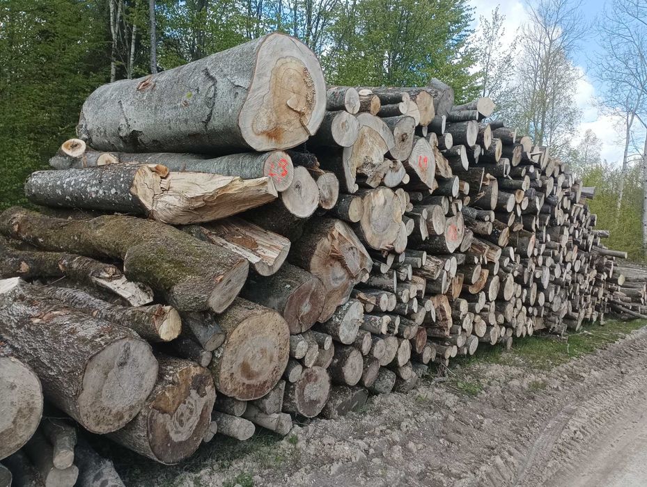 Drewno  opałowe kominkowe