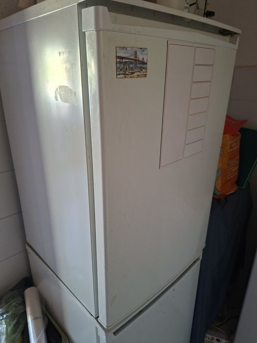 Frigotifico piceno uzado