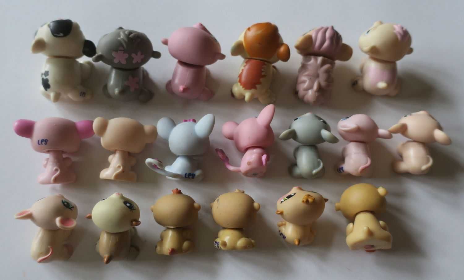 Świnka morska mysz myszka chomik Littlest Pet Skop lps