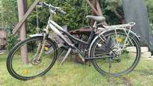 Rower Activebike damka
