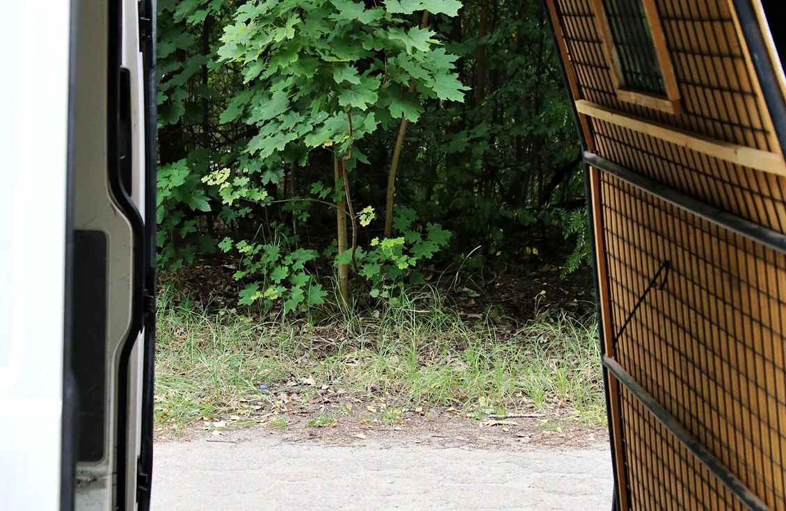 Volkswagen TRANSPORTER  2 x przesuwne drzwi webasto 4x4 klima