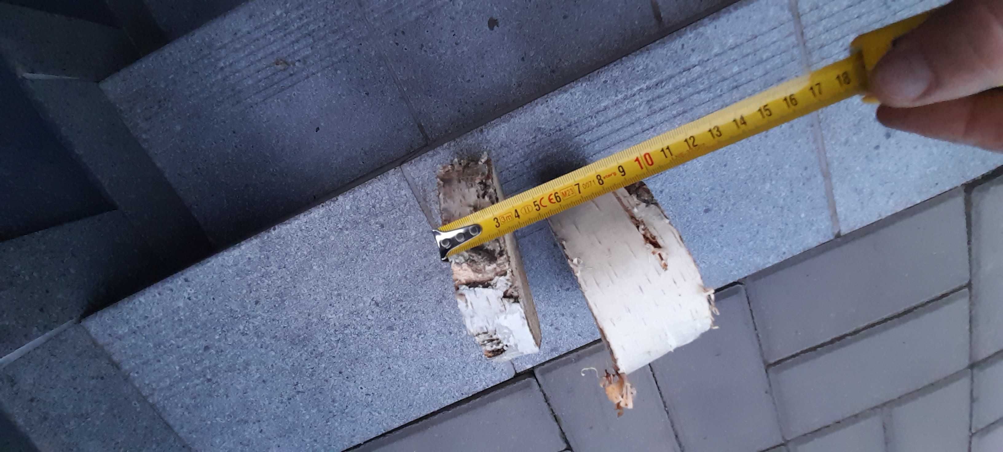Plaster drzewa brzoza na stroik 2 szt