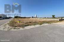 Terreno Para Construção  Venda em Castelo Branco,Castelo Branco