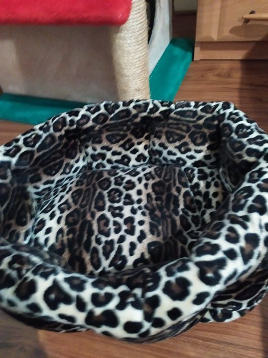 Котяче ліжечко леопард