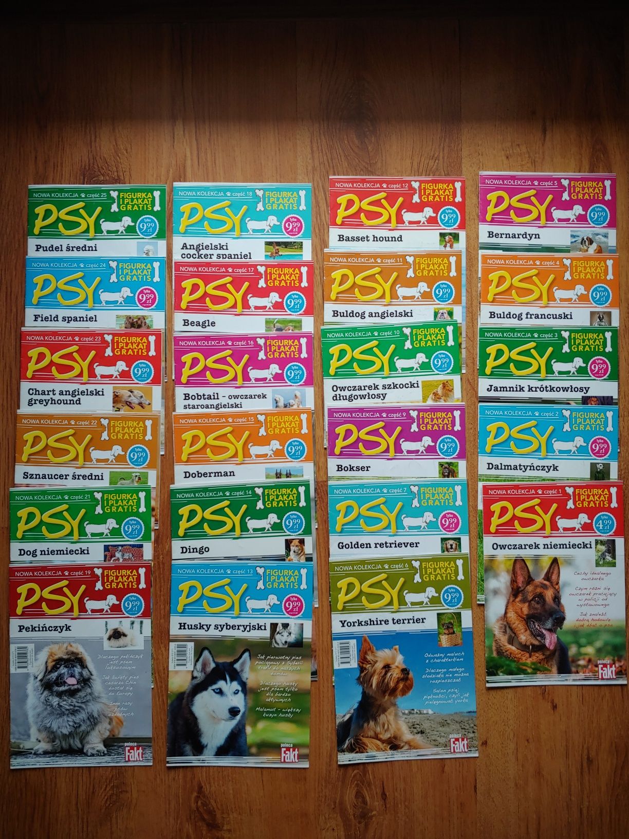 Psy, Koty - gazetki z plakatami