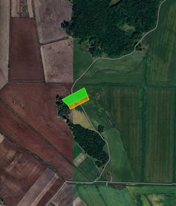 Продам участок 10 Га, поряд ліс, річка, с. Світильня