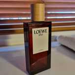 Loewe solo cedro 100ml Promocja