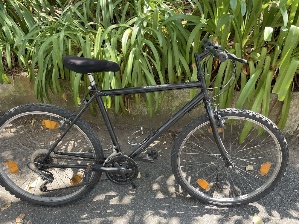 Bicicleta adulto