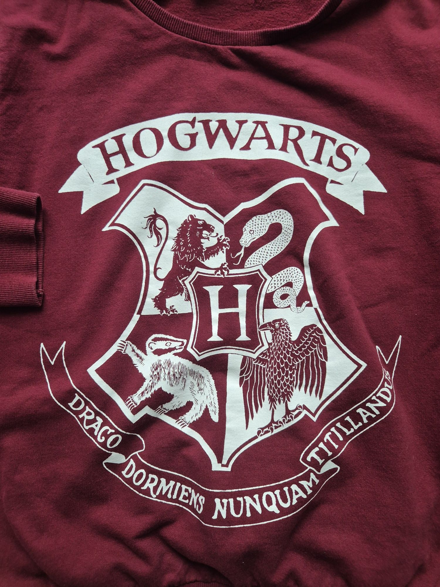 Harry Potter bluza M Hogwarts 
Niewiele noszona 
Rozmiar M